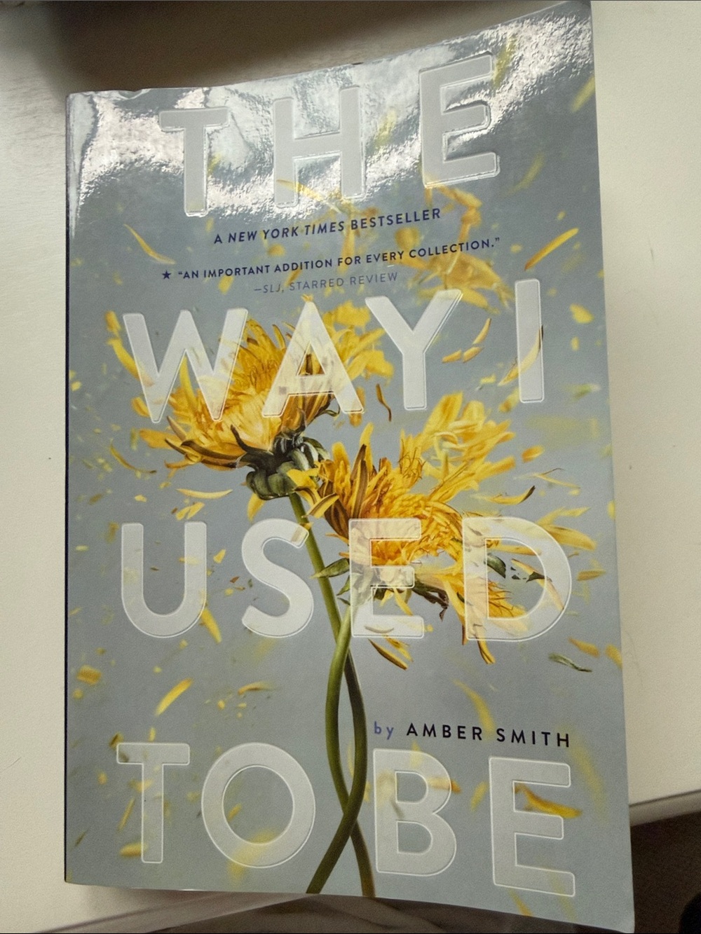 The Way I Used to Be by Amber Smith